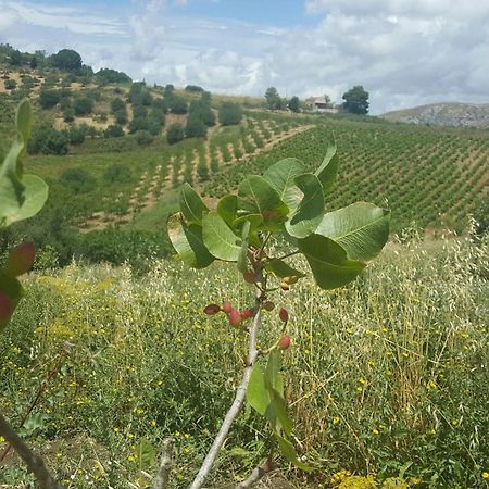 Agriturismo Gessi カラタフィーミ エクステリア 写真